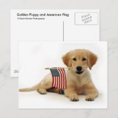 Carte Postale Chiot doré et drapeau américain (Devant / Derrière)