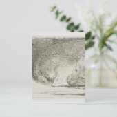 Carte Postale Chiot dormant par Rembrandt (Debout devant)