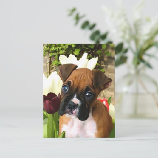Carte Postale Chiot en boîte en tulipes (Debout devant)