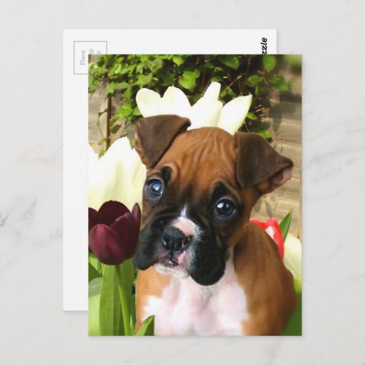 Carte Postale Chiot en boîte en tulipes (Devant / Derrière)