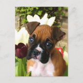 Carte Postale Chiot en boîte en tulipes (Devant)