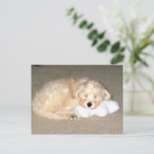 Carte Postale Chiot endormi (Debout devant)