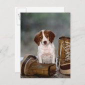 Carte Postale Chiot et bottes (Devant / Derrière)