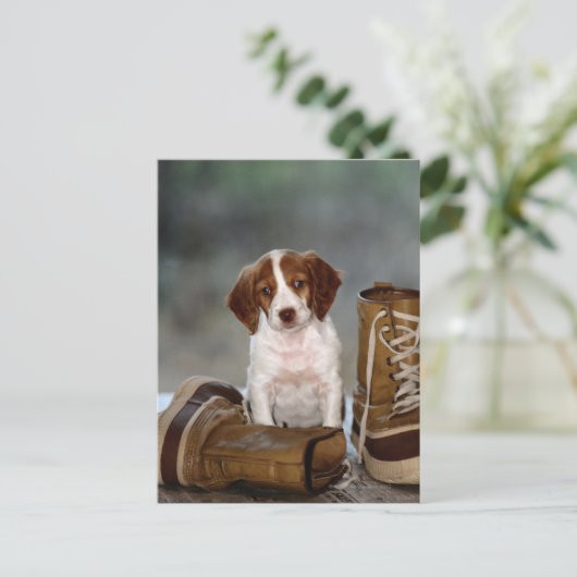 Carte Postale Chiot et bottes (Debout devant)