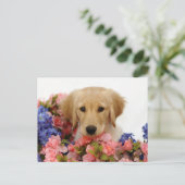 Carte Postale Chiot et fleurs Golden Retriever (Debout devant)