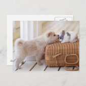 Carte Postale Chiot et lapin (Devant / Derrière)