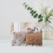 Carte Postale Chiot et lapin (Debout devant)
