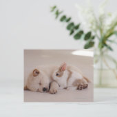 Carte Postale Chiot et lapin (Debout devant)