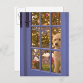 Carte Postale Chiot Golden Doodle avec vue sur la porte en verre (Devant / Derrière)