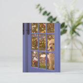 Carte Postale Chiot Golden Doodle avec vue sur la porte en verre (Debout devant)