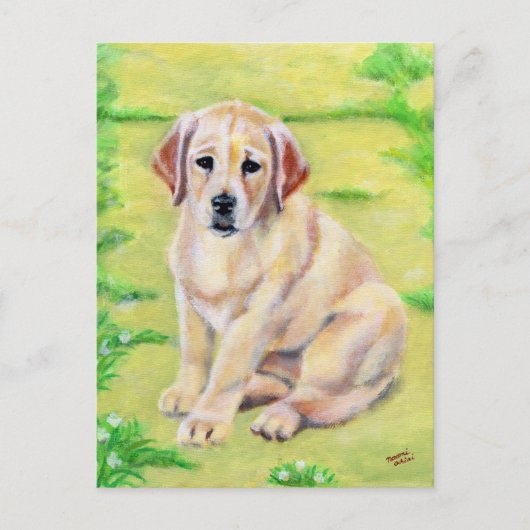 Carte Postale Chiot jaune du Labrador (Devant)