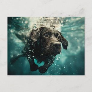 Carte Postale Chiot labrador nageant sous l'eau Design