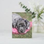 Carte Postale Chiot mignon (Debout devant)