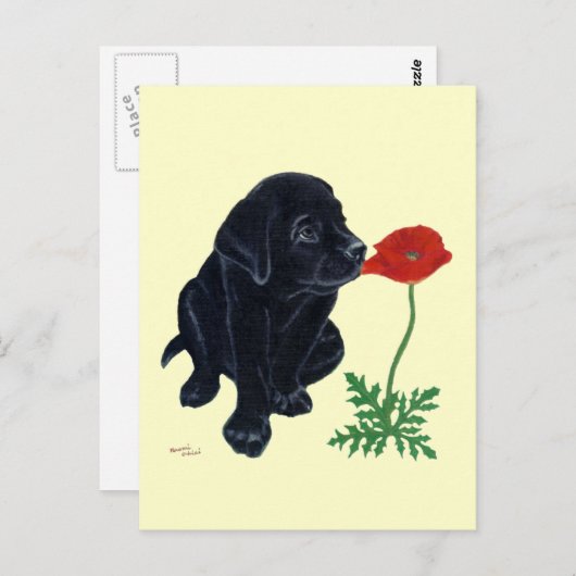 Carte Postale Chiot noir Labrador (Devant / Derrière)