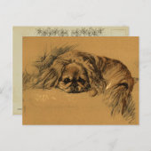 Carte Postale Chiot Pekingeses vintage (Devant / Derrière)