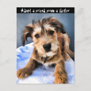 Carte Postale Chiot pelucheux 3855