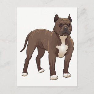 Carte Postale Chiot Pit Bull - Bonjour, Tu me manques, Merci