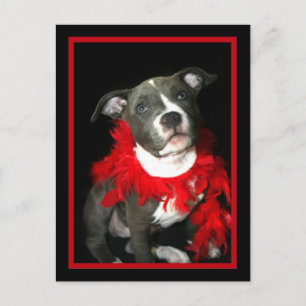 Carte Postale Chiot Pitbull bleu