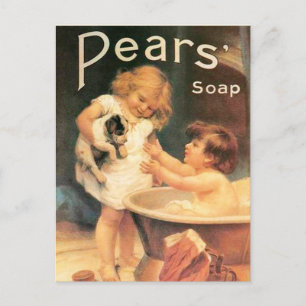 Carte Postale Chiot Prenant Un Bain Vintage Antique