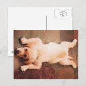 Carte Postale Chiot Qui Dit Drôle (Devant / Derrière)