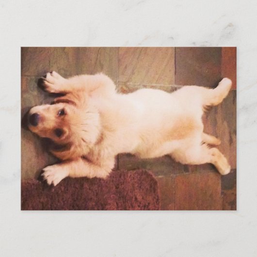 Carte Postale Chiot Qui Dit Drôle (Devant)