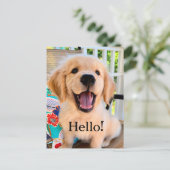 Carte Postale Chiot Retriever Golden Sourire Bonjour (Debout devant)