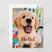 Carte Postale Chiot Retriever Golden Sourire Bonjour (Devant / Derrière)