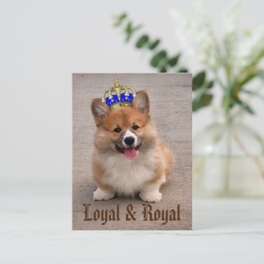 Carte Postale Chiot royal et loyal Corgi (Debout devant)