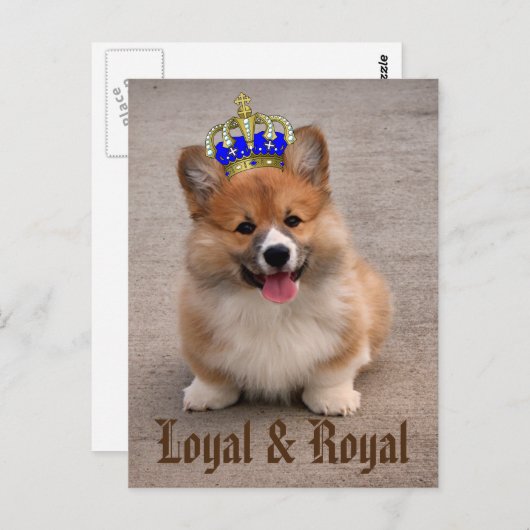 Carte Postale Chiot royal et loyal Corgi