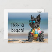 Carte Postale Chiot Scottish Terrier portant des lunettes de sol (Devant / Derrière)