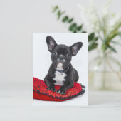 Carte Postale Chiots Bouledogue (Debout devant)