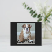 Carte Postale Chiots Bouledogue Anglais (Debout devant)