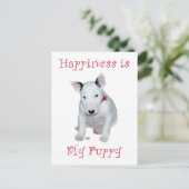 Carte Postale Chiots Bull Terrier (Debout devant)
