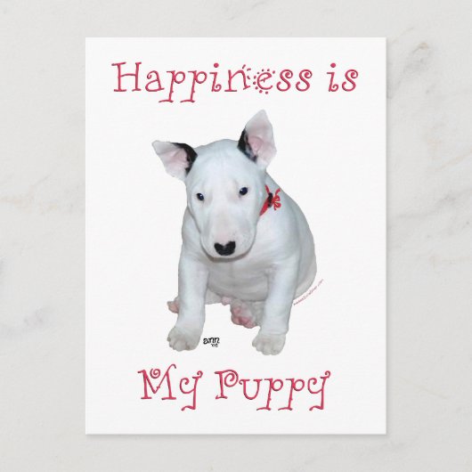Carte Postale Chiots Bull Terrier (Devant)