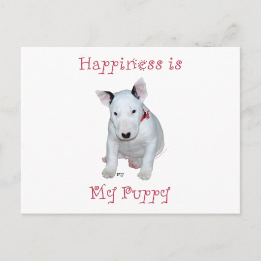 Carte Postale Chiots Bull Terrier (Devant)