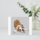 Carte Postale Chiots Bulldog Anglais au jeu (Debout devant)