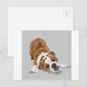 Carte Postale Chiots Bulldog Anglais au jeu (Devant / Derrière)