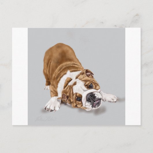 Carte Postale Chiots Bulldog Anglais au jeu (Devant)
