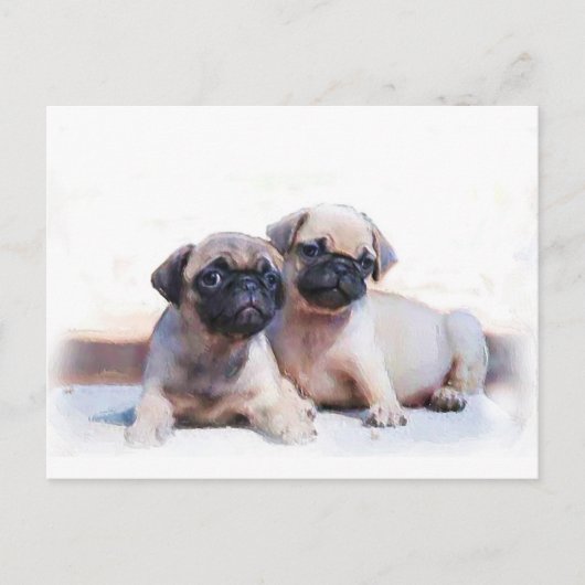 Carte Postale Chiots carlins (Devant)