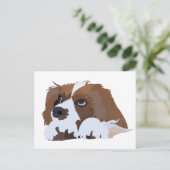Carte Postale Chiots Cavalier King Charles Spaniel (Debout devant)