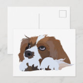 Carte Postale Chiots Cavalier King Charles Spaniel (Devant / Derrière)