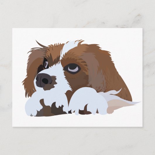 Carte Postale Chiots Cavalier King Charles Spaniel (Devant)