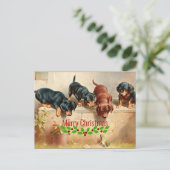 Carte Postale Chiots curieux et une grenouille, Noël (Debout devant)