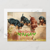 Carte Postale Chiots curieux et une grenouille, Noël (Devant / Derrière)