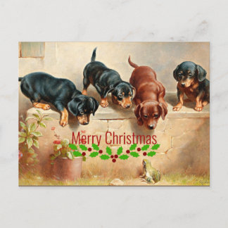 Carte Postale Chiots curieux et une grenouille, Noël