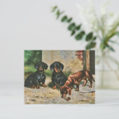 Carte Postale Chiots de Dachshund (Debout devant)