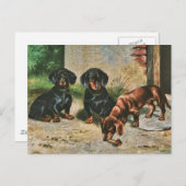 Carte Postale Chiots de Dachshund (Devant / Derrière)