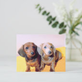 Carte Postale Chiots de Dachsund (Debout devant)