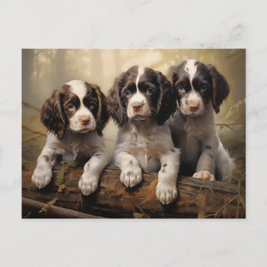Carte Postale Chiots espagnols anglais (Devant)
