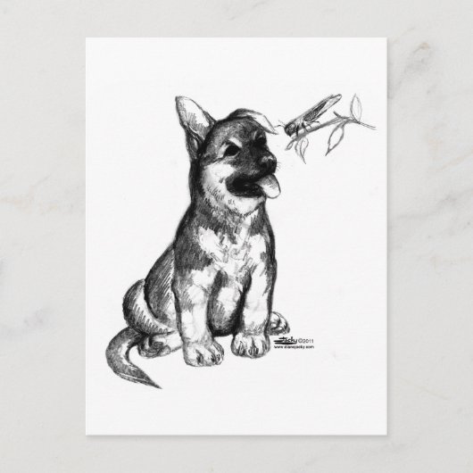 Carte Postale Chiots et criquet (Devant)